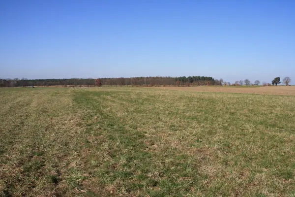 zachodniopomorskie, stargardzki, Stargard, Rogowo, Działki o pow. 3000 m kw. w atrakcyjnej cenie